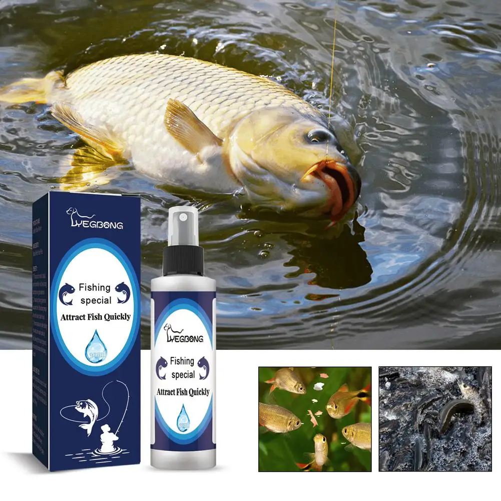 Fish Luring Spray Lake Reservoir Fishing Luring Spray Additivo Tonno Bait Carp Tilapia Bait S3E0