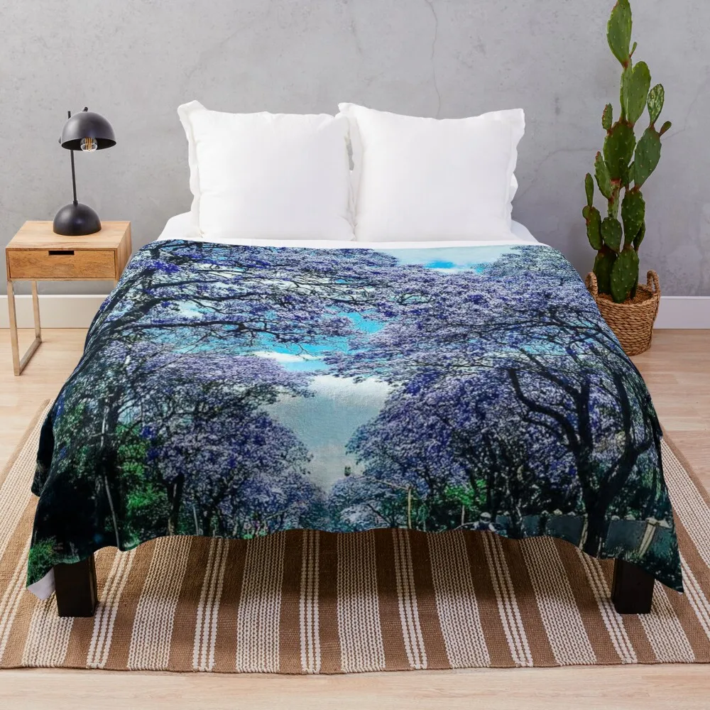 Alberi Di Jacaranda In Pretoria Coperta Singola Coperta Coperte Pelose
