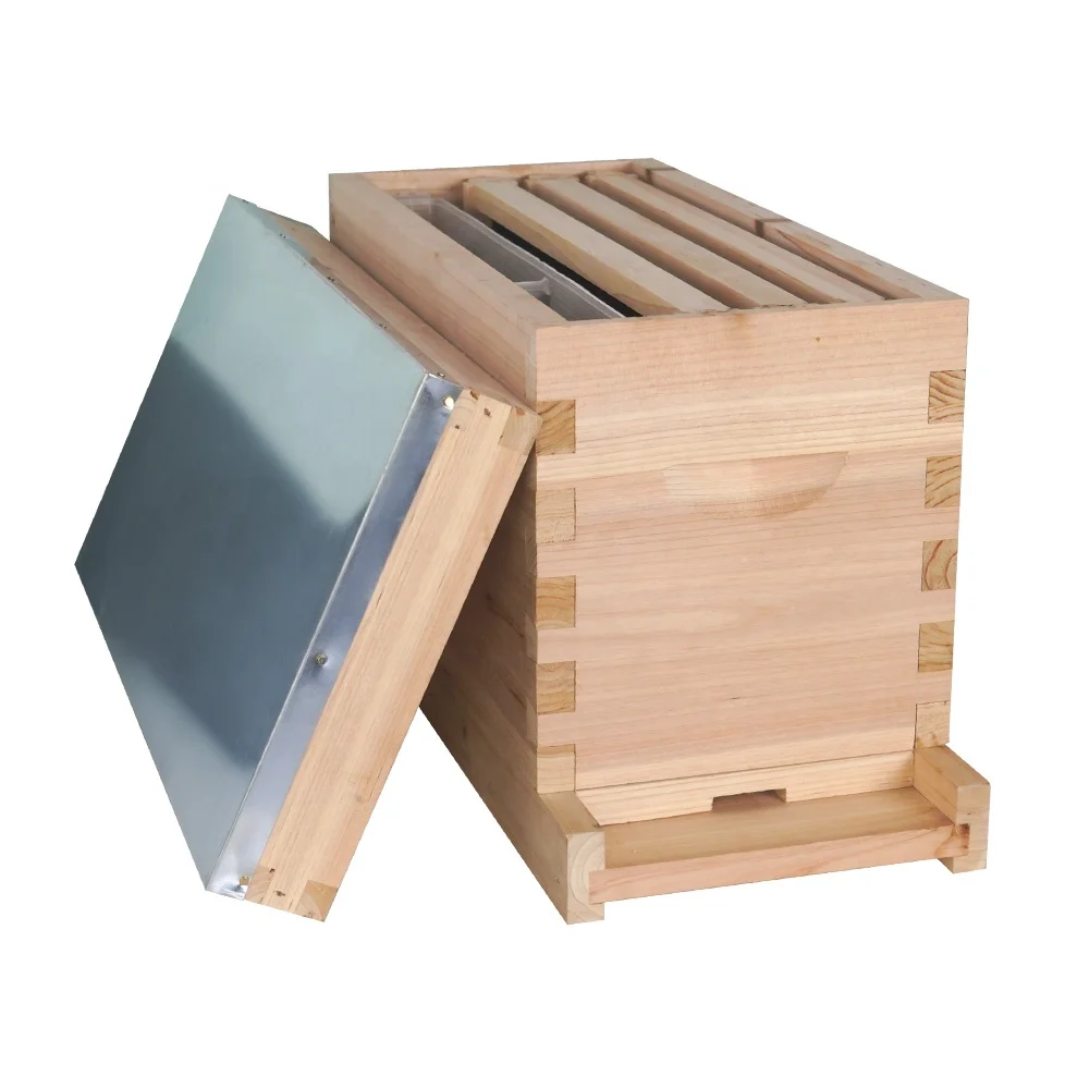 5 Telai In Legno Langstroth Nucleus Beehive Mini Nuc Bee Box
