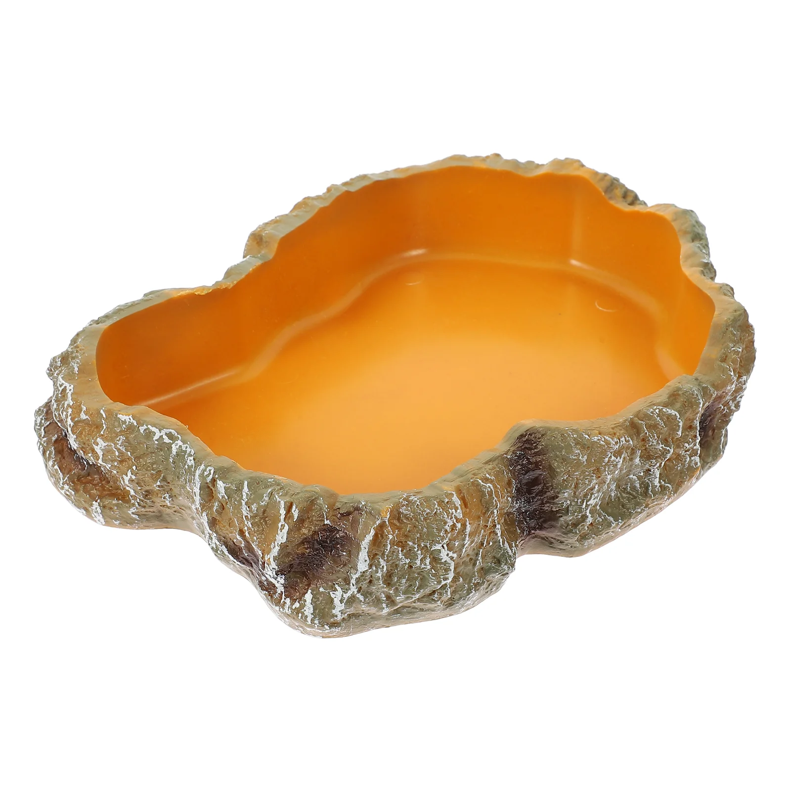 Arrampicata Ciotola Per Alimenti Per Animali Domestici Tartaruga Terrario Tartarughe D'Acqua Gabbia Per Rettili Tartarughe Accessori Per Contenitori D
