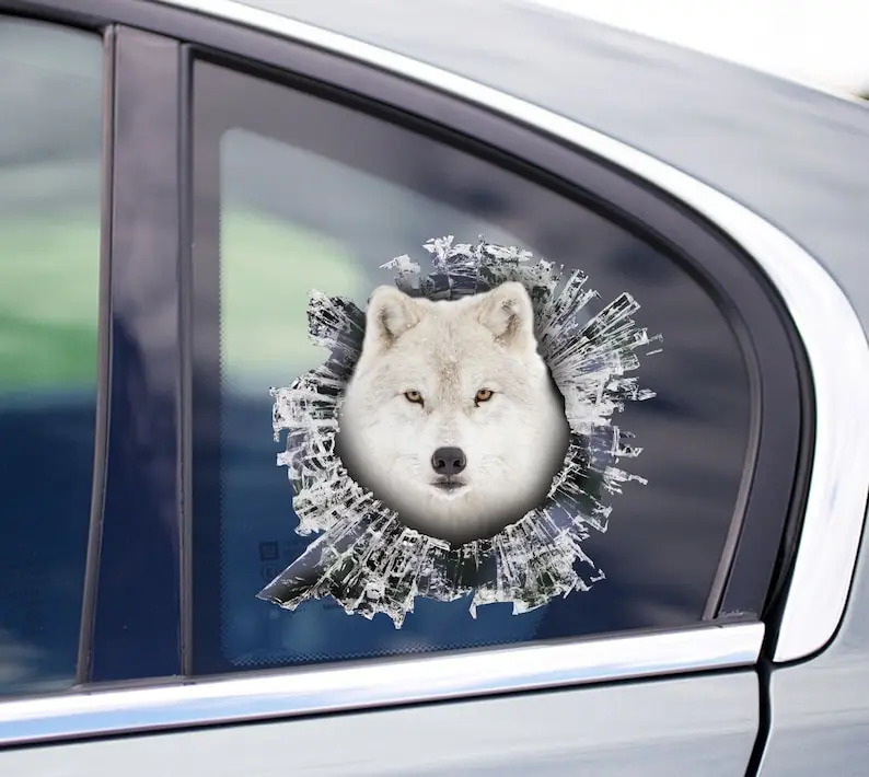 Adesivo Per Finestra Lupo Artico, Adesivo Lupo Artico, Decalcomania Lupo Artico, Decalcomania Auto