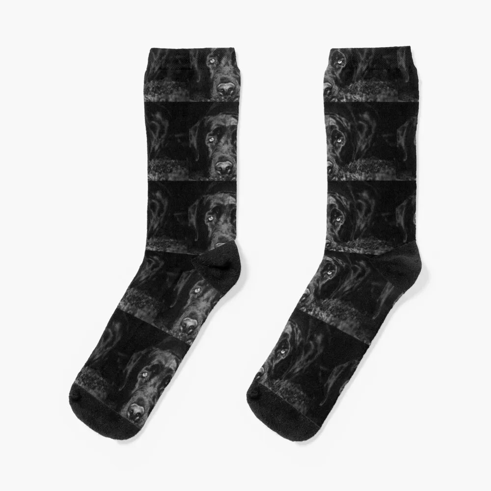 Black Labrador Retrieversocks