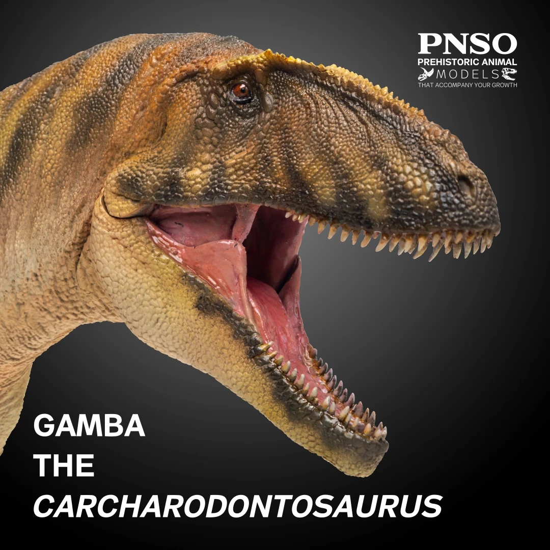 Pnso Modelli Di Dinosauri Preforici: 50 Gamba Il Carcharodontosaurus