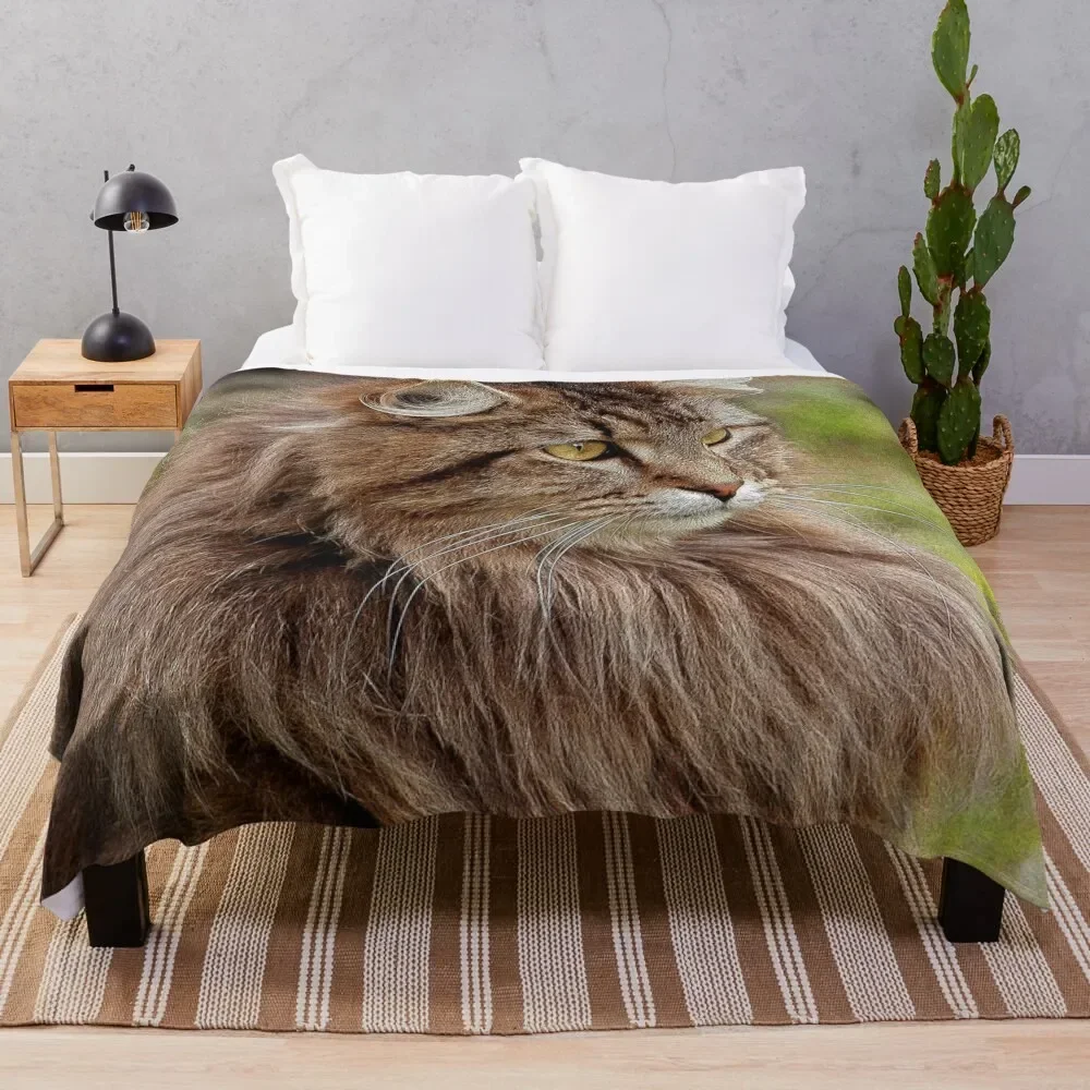 Maine Coon Cat Artwork Throw Coperta Flannels Termici Picnic Luxury Addensare Coperte