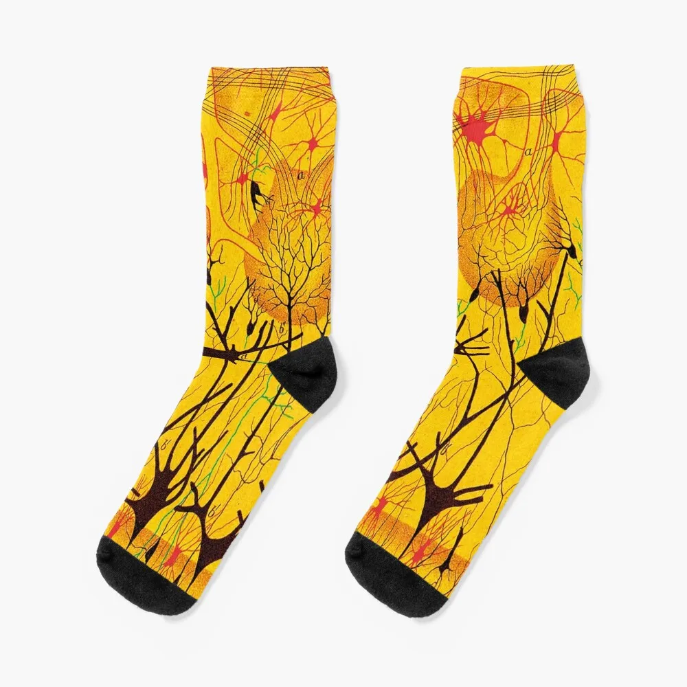 Cajal 2 Calzini Anime Calze Calze A Compressione Donna Calze Trasparenti Calze Uomo Donna