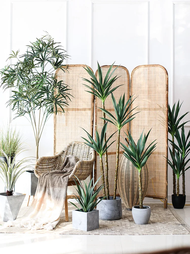 Simulazione Nordica Sisal Sago Cycas Vaso Per Piante