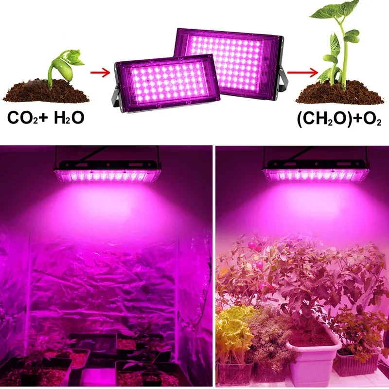 Full Spectrum Grow Light Phyto Lamp Ac 220V 50W 100W 200W Plants Light Led Grow For Greenhouse Hydroponic Plant Growth Lighting