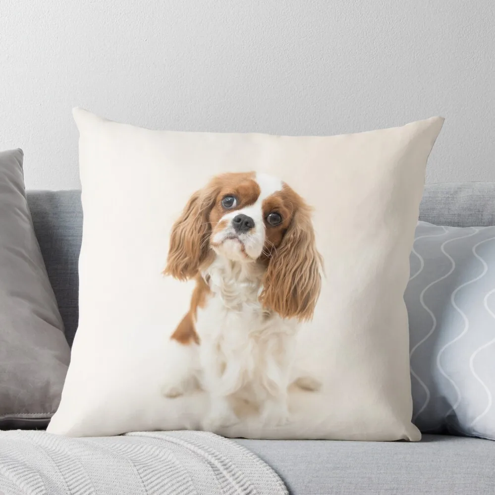Cavalier King Charles Spaniel Blheim Cuscino Decorativo Federa Capodanno