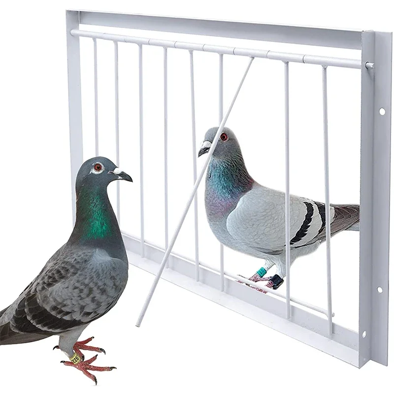 Nidi Di Filo Di Uccelli Porta Forniture Per Piccioni Porte Per Bar D'Ingresso Che Intrappolano Barre Da Corsa Gabbie Curtai Telaio E Amp Catch Loft