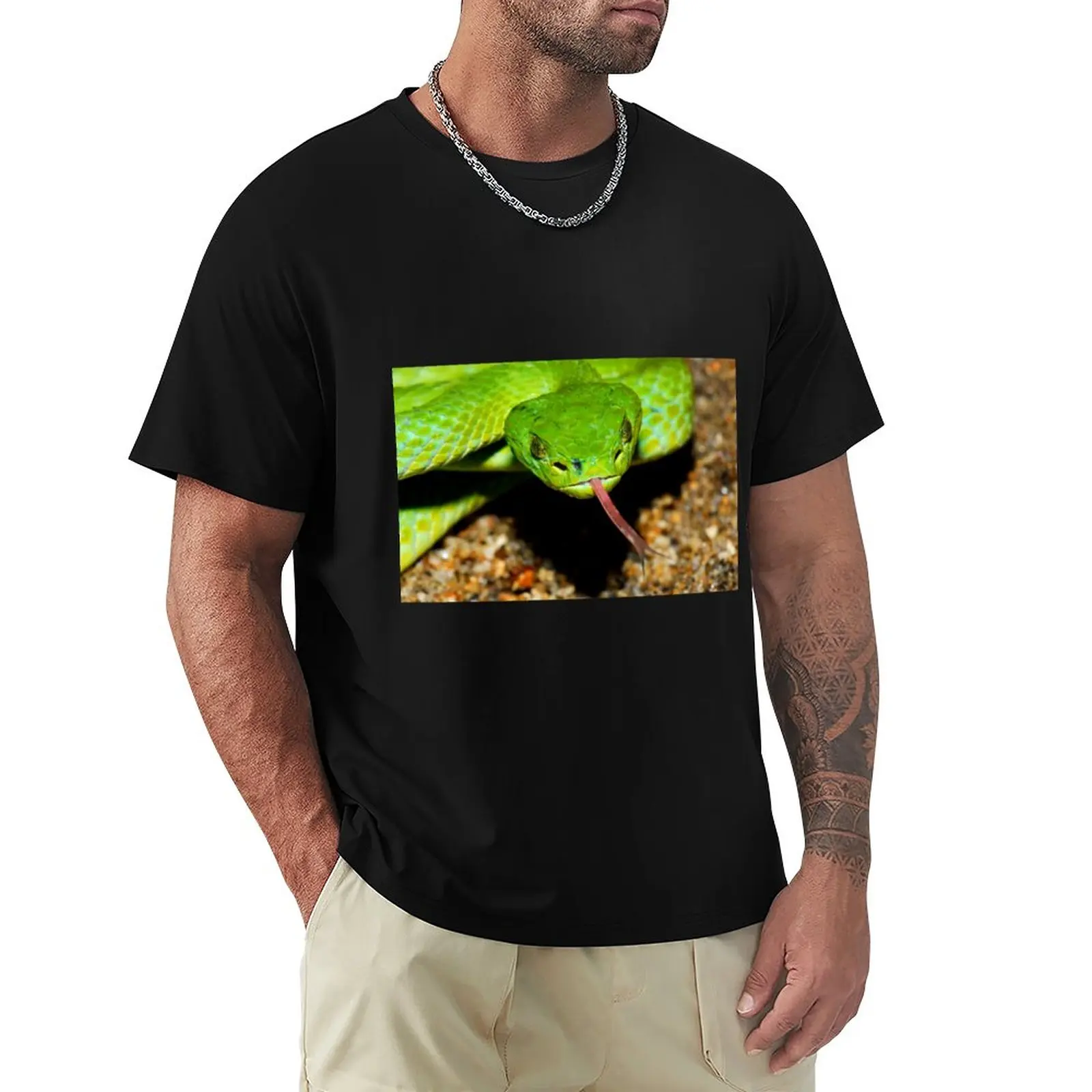 Emerald Palm Viper T-Shirt Camicie Moda Coreana Magliette Grafiche Per Uomo Graphic