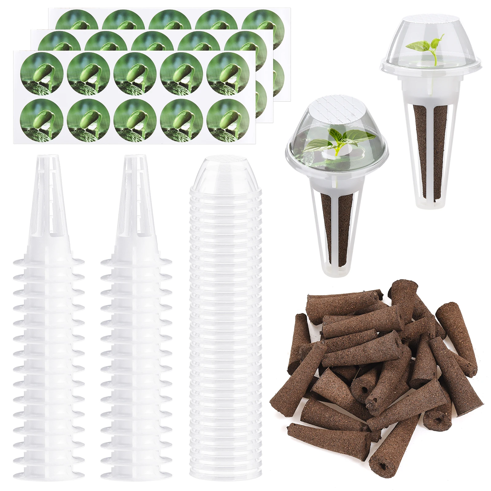 Grow Cestini Hydroponic Plant Seed Hydroponic Growing Kit Spugne Per Semi Grow Cestini Per Semi Che Iniziano La Crescita Delle Radici