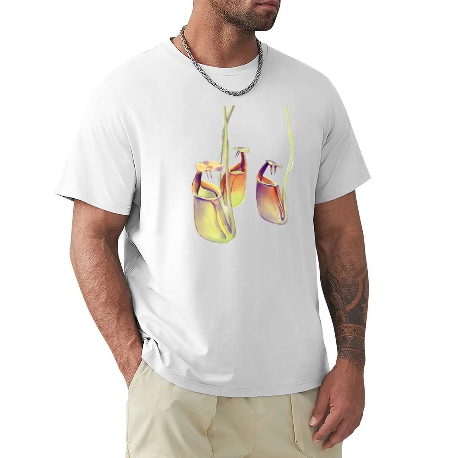 Nepenthes Biciclcarata |