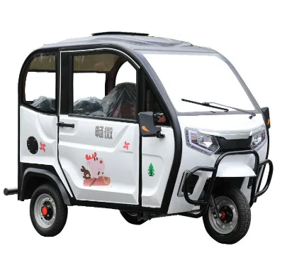 Triciclo Elettrico Per 2 Persone/Differenziale Per Triciclo/Triciclo Elettrico Per Disabili