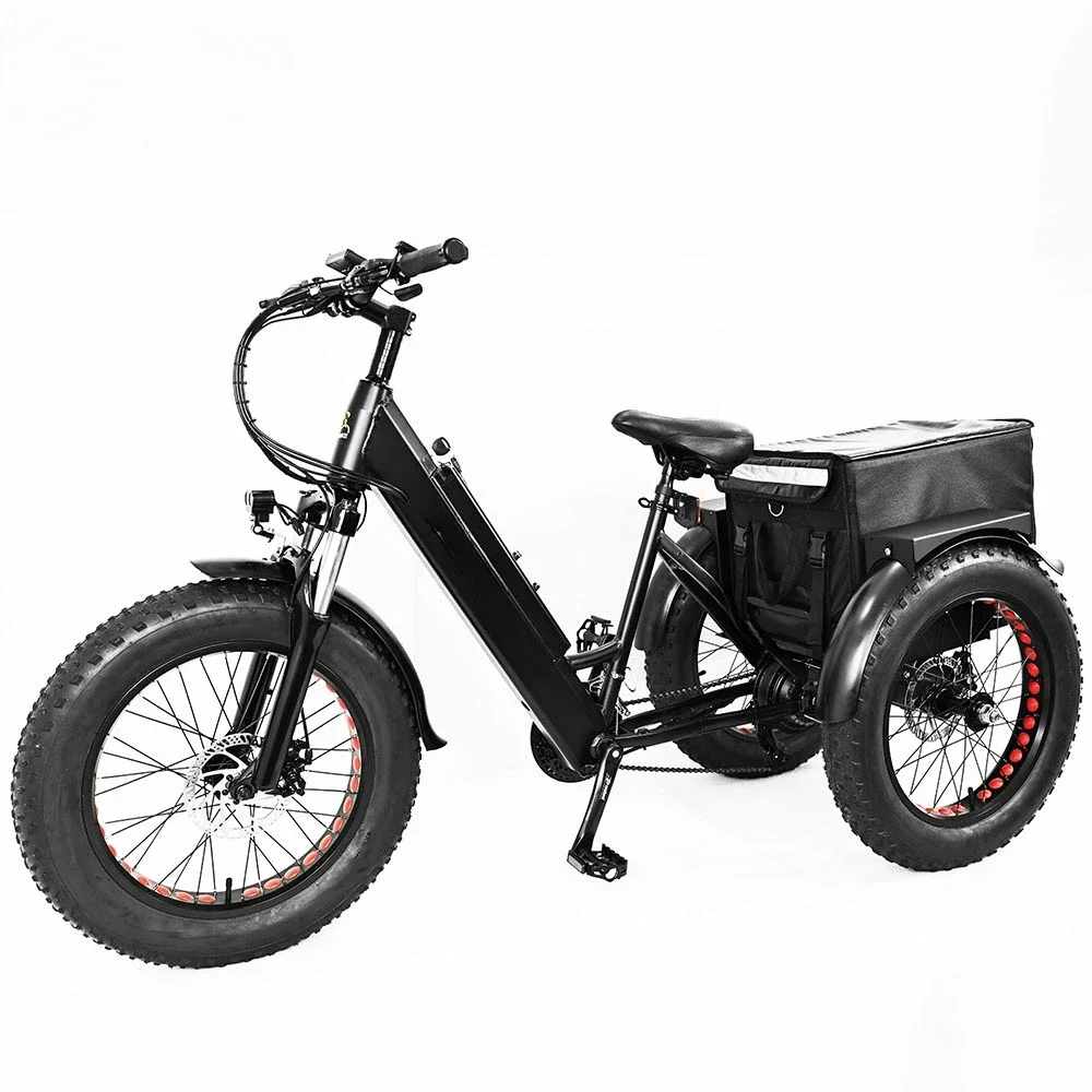 20 Pollici Cargo 500W 750W Triciclo Elettrico 3 Ruote Bicicletta Elettrica Grasso Pneumatico A Tre Ruote Bici Elettrica Mountain E Trike
