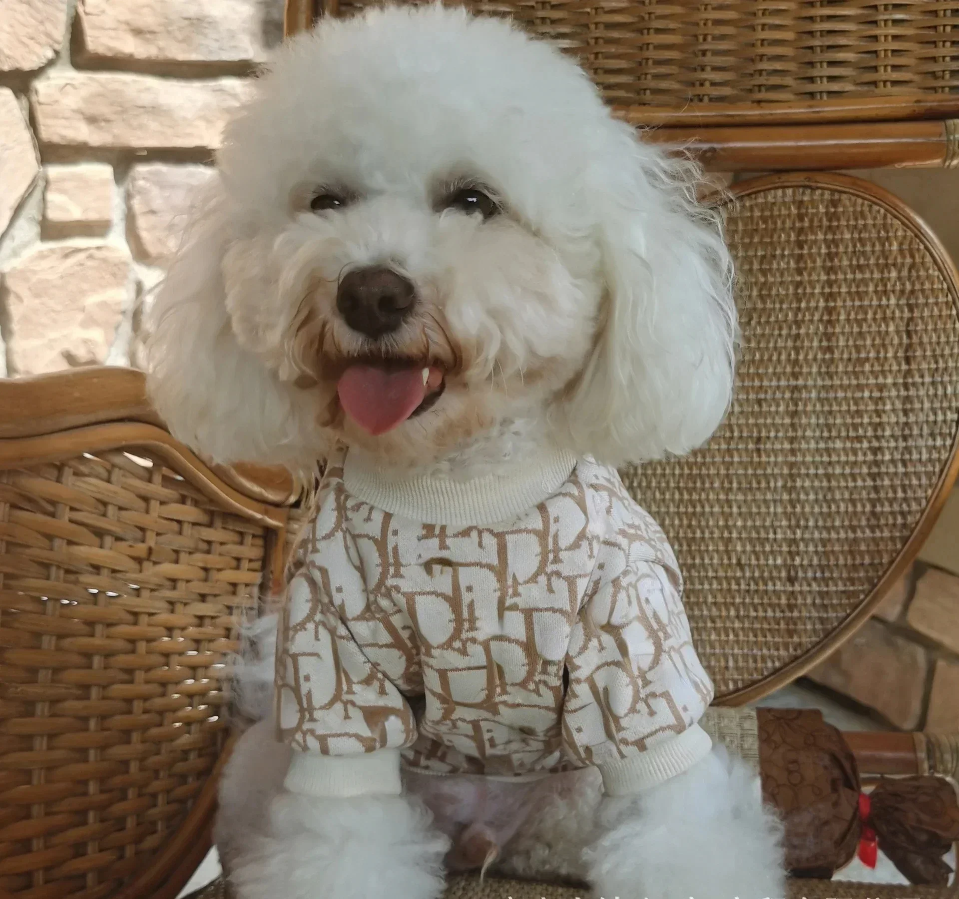 Vestiti Per Cani Schnauzer Teddy York Valley Puppy Cat Coat Costume Soft Pullover Suit For Winter Warm Maglione