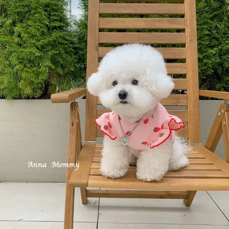 Cute Lace Strawberry Dogs Clothes Gonna Pet Teddy Summer Clothes Stoner Vestiti Traspiranti Puppy Fruit Vest Accessori Per Cani