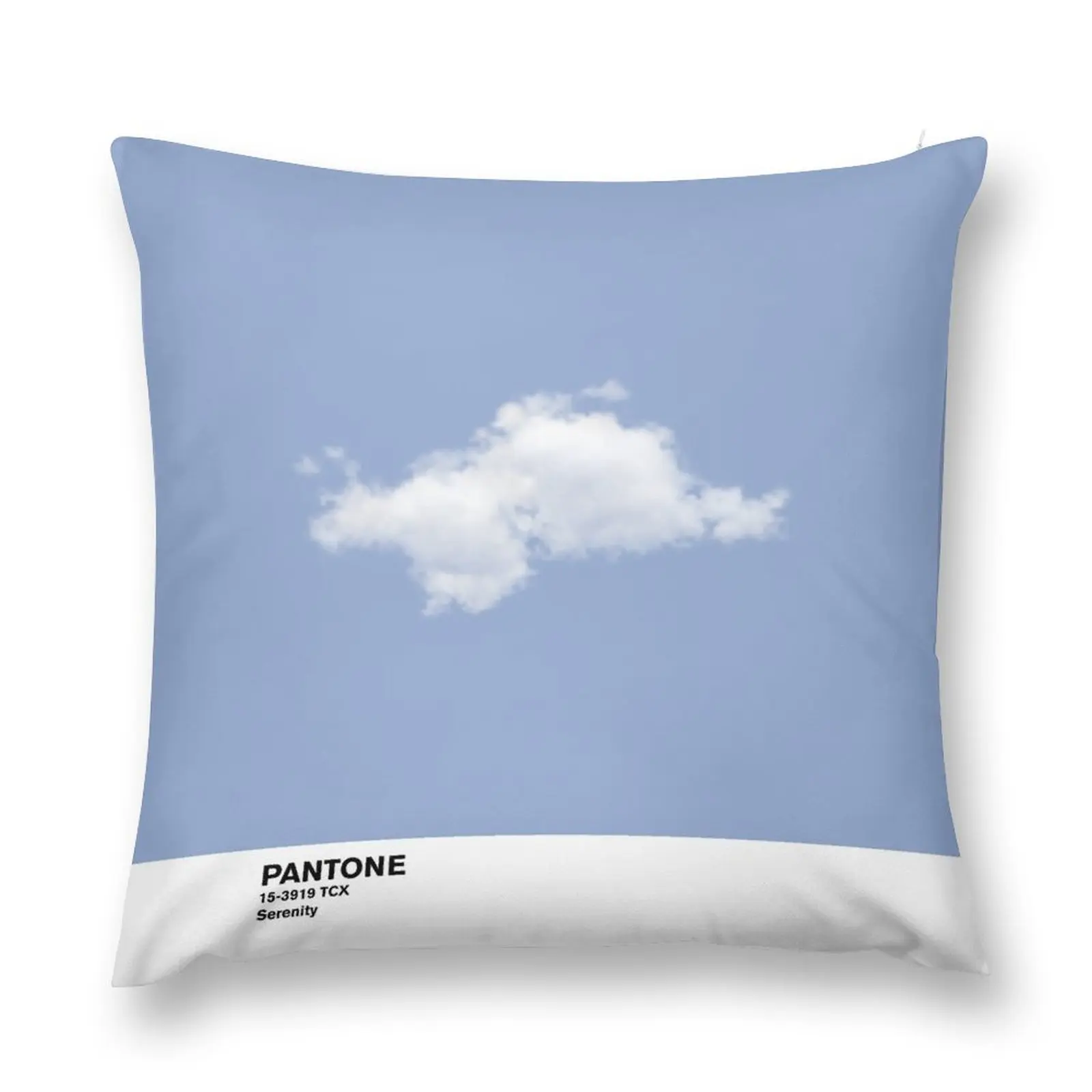 Serenity Blue Pantone Cloud Throw Pillow Federe Cuscini Per Divani Cuscini Per Divani Decorativi