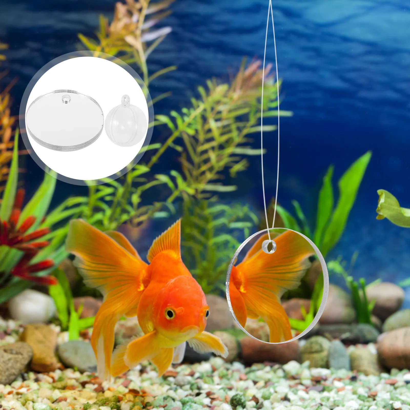 Acrilico Betta Training Tank Fish Floating Per Giocattolo Sportivo In Plastica