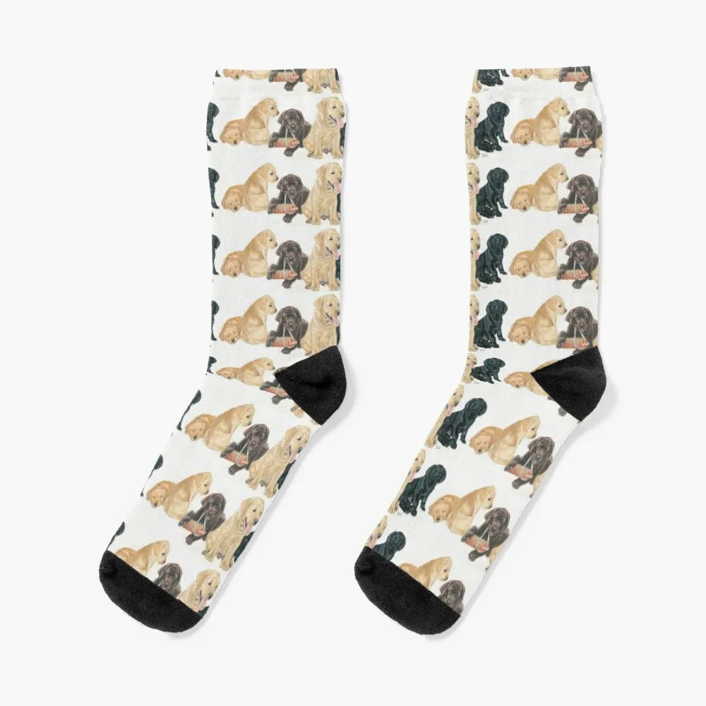 Labrador Puppies Socks Winter Sock Man Men Fashion Thermo Socks For Men