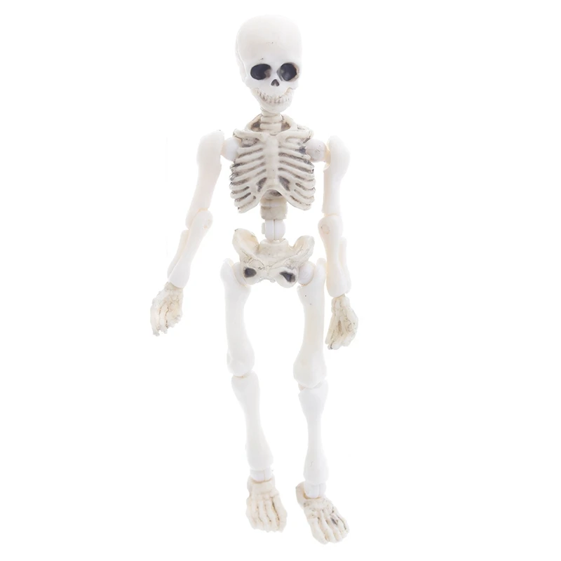 Mobile Mr. Bones Skeleton Modello Umano Skull Full Body Mini Figure Toy Halloween