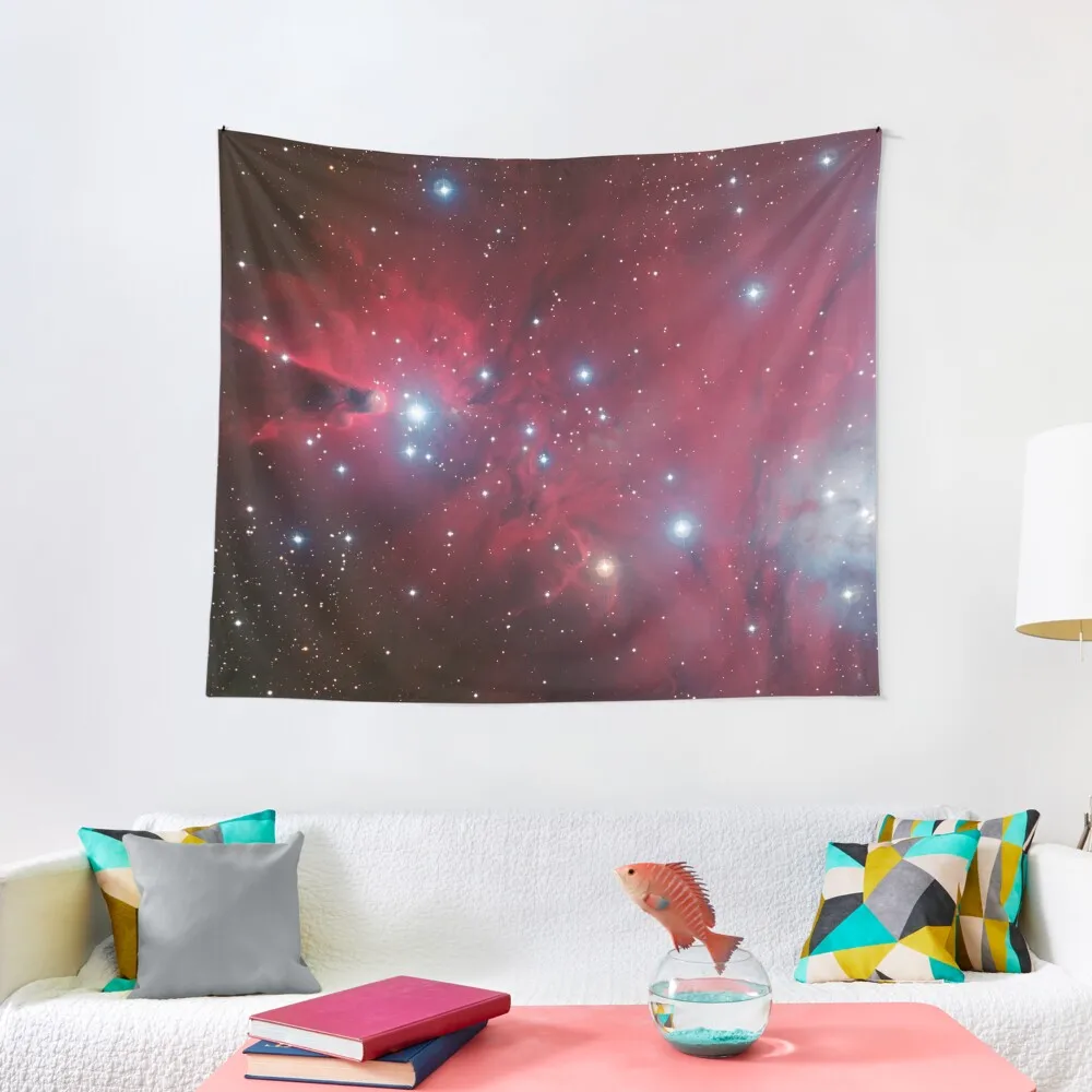 Albero Di Natale Cluster E Ngc 2264 Red Stars Nebula In Monoceros Constellation Eso Space Telescope Picture Hd High Qua Arazzo