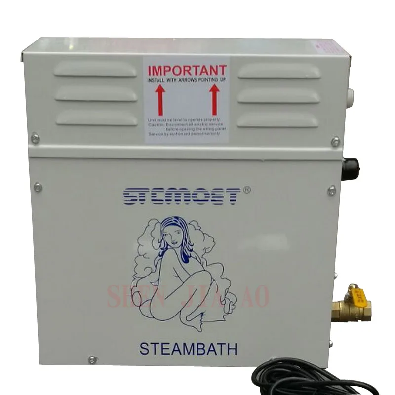 3Kw 220V Steam Generator Sauna Steamer Machine Home Dry Streaming Furnace Wet Digital Controller Steamer 1Pc