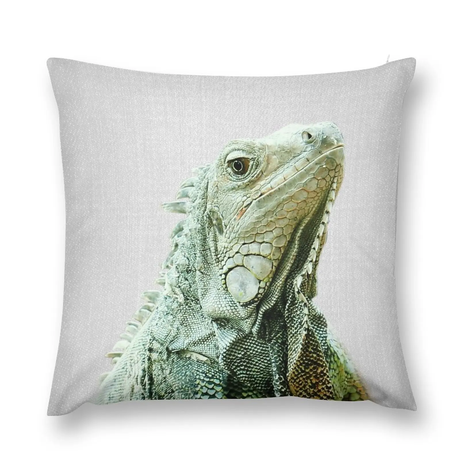 Iguana-Fodera Per Cuscino In Marmo Colorato Fodera Per Cuscino Decorativo Fodera Per Cuscino Fodera Elastica Natalizia Per Divano