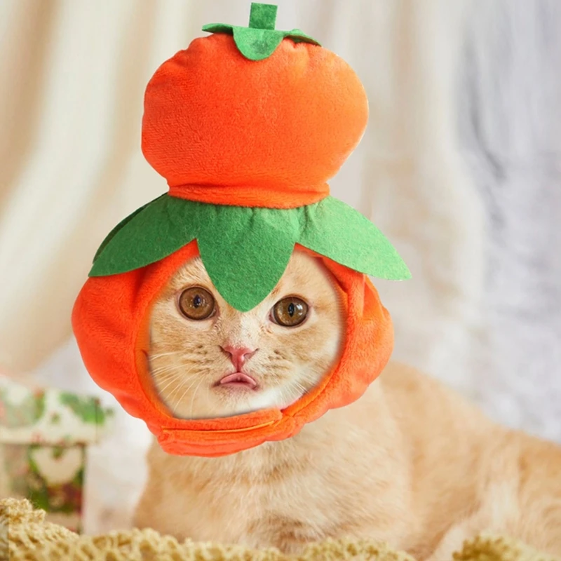 Pet Hat Cute Hu-Lu-Wa Puntelli Cosplay-Accessori Copricapo Soft Kitten Cap Halloween-/Regalo Di Natale