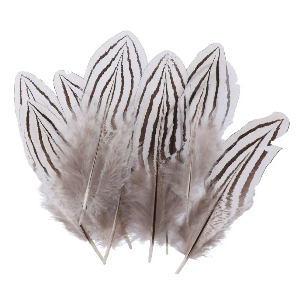 Piume Maculate Bianche Decorazione Per Abbigliamento Argento Naturale Coda Di Fagiano Piume Di Piume 3-5 Pollici Piume Di Fagiano Artigianato Fai Da T
