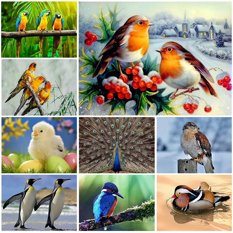 Immagine Dell'Uccello Pittura Diamante 5D Fai Da Te Pappagallo Pinguino Aquila Trapano Completo Diamante Mosaico Intarsiato A Mano Strass Ricami Decor