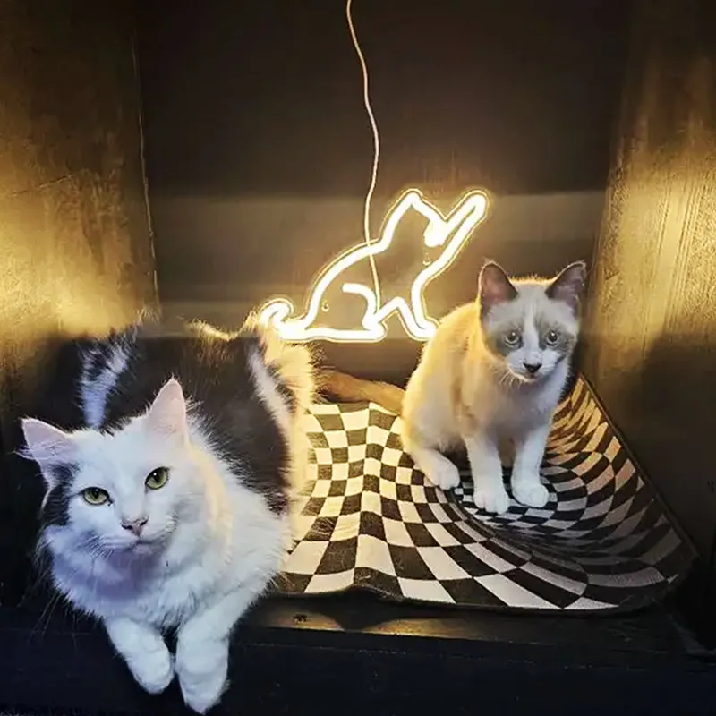 Insegna Al Neon A Led A Forma Di Gatto, Lampada Al Neon Di Alimentazione Usb 5V Per La Festa Del Dormitorio Della Camera Da Letto Di Casa, Luce Nottur
