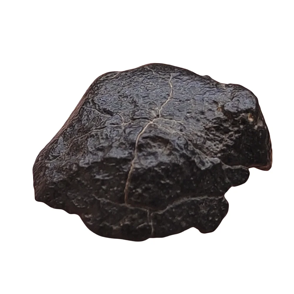 Nwa14685 Moon Lunar Meteorite Slice Feldspathic Breccia Moon Meteorite Collezione Meteorite Lunar Feldspathic Breccia 3.7G-Ev007