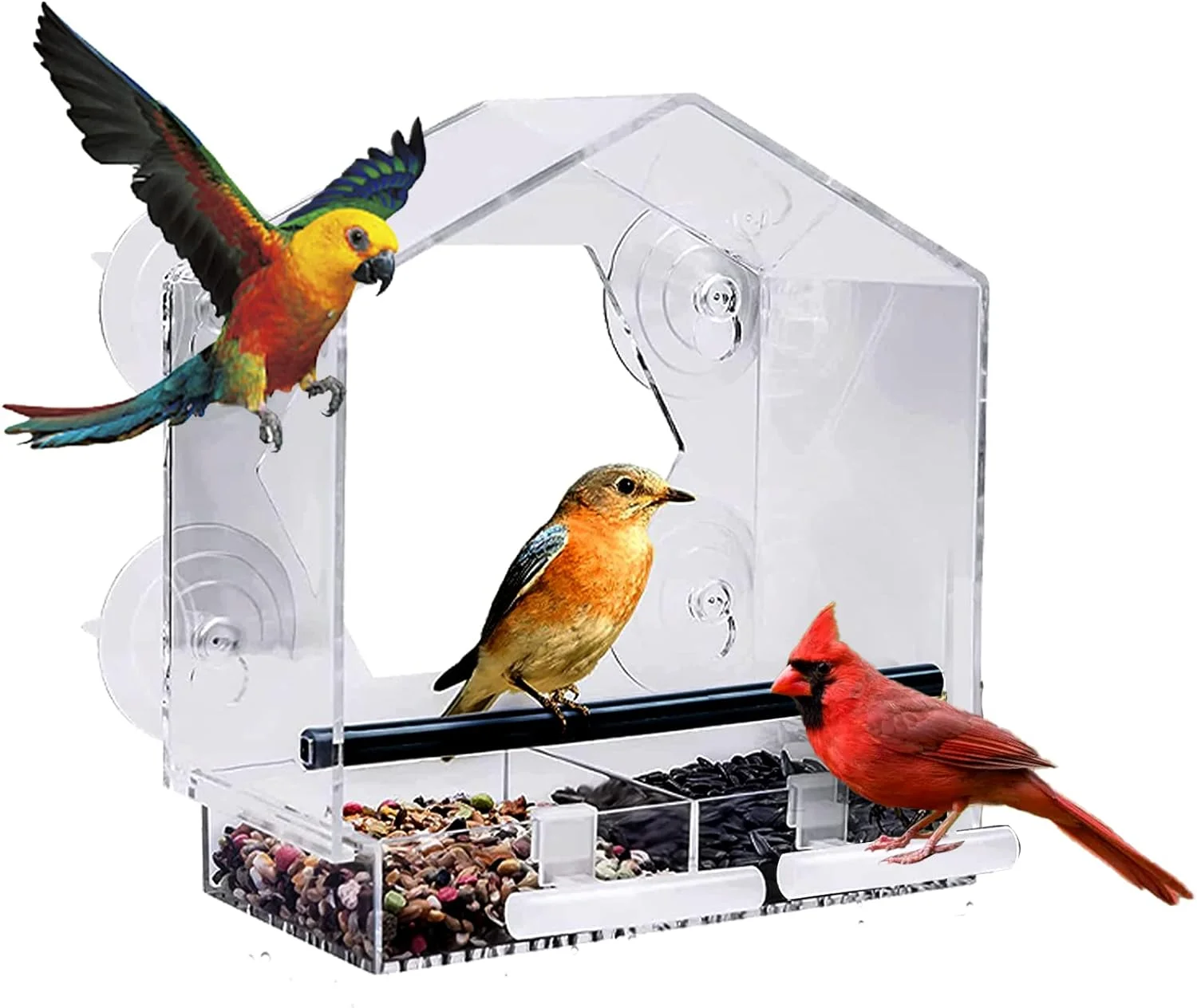 Acrilico Vetro Trasparente Finestra Uccelli Mangiatoia Appesa Birdhouse Cibo Alimentazione Casa Tavolo Seme Arachidi Ventosa