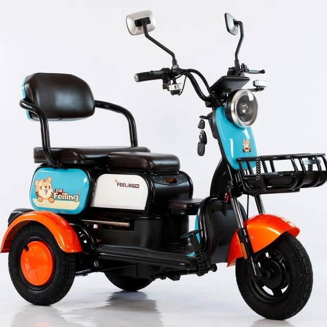 Nuovo Modello Di Triciclo Elettrico Per Adulti 48V 500W Triciclo Da Carico Elettrico Con Tenda