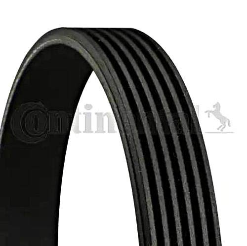Contitech 6Pk1380 Cinghia Poly-V