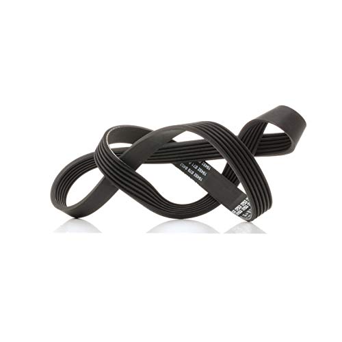 Dayco 6Pk1150 Poly V Ford Galaxy/Opel Movano