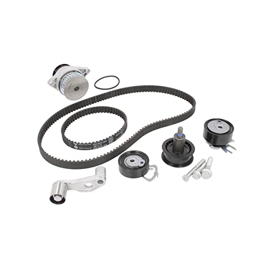 Kit Distribuzione Con Pompa Acqua Ina - 530008930