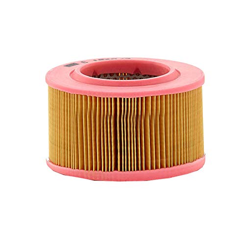 Mann-Filter C 1540/3 Filtro Aria – Per Veicoli Commerciali