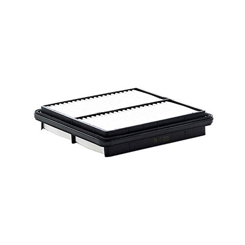Mann-Filter C 2229 Filtro Aria – Per Auto