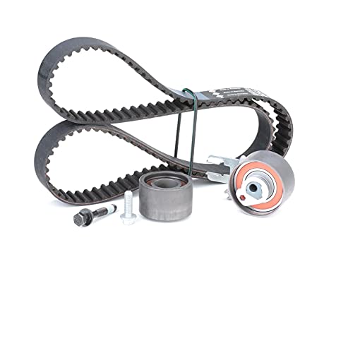 Kit Distribuzione Ina - 530058210