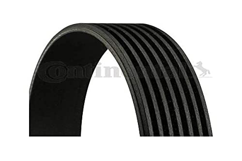 Contitech 7 Pk 1642 Cinghie Trapeiz