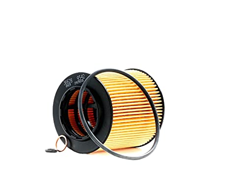 Febi Bilstein 36628 Filtro Olio Con Anelli Tenuta | Bmw