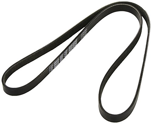 Dayco 5Pk1200 Cinghia Poly-V Com. Alt. Rover 820