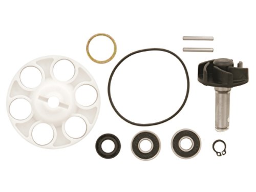 Vicma Water Pump Repair Kit For Minarelli Lc
