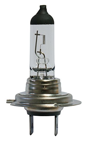 Bosch 1987302079 Bosch Lampadine