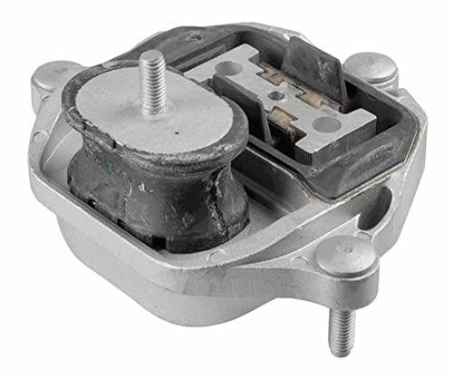 Lemförder 43231 01 Stoccaggio Trasmissione Automatica E Trasmissione Manuale Trasferimento Trasferimento Trasferimento Di Immagazzinamento Per Audi A4