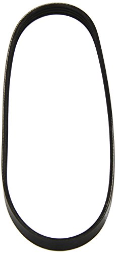 Dayco 4Pk730 Cinghia Poly-V