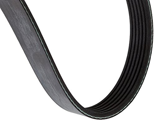 Febi 102310 Cinghie Di Distribuzione