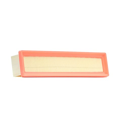 Filtron Ap134/8 Filtro Aria