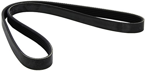 Dayco 5Pk1035 Cinghia Poly-V Com.Alt Alfa 155-Dedra